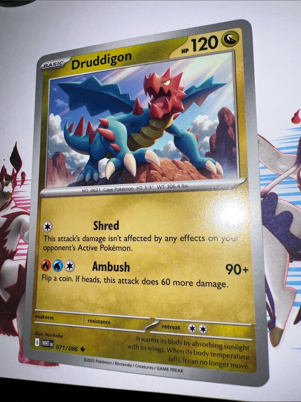 Pokemon Druddigon Trading Card — Yellow Border with Blue and Red Art